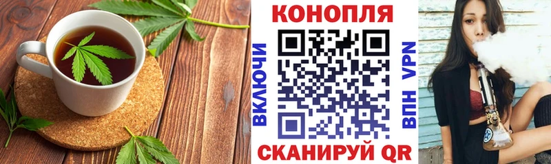 Купить где  Верхняя Тура  Canna-Cookies конопля 